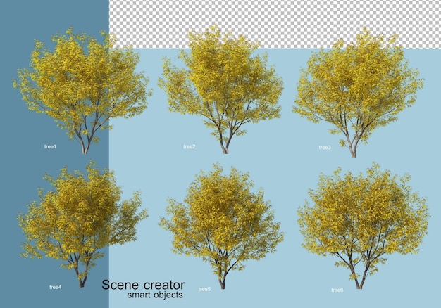 3D rendering of  arrangement of trees and flowers