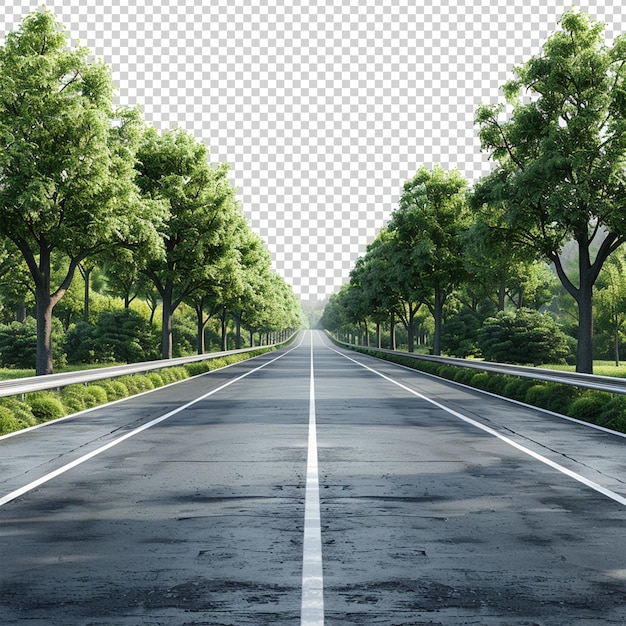 PSD 3d rendering of asphalt road with transparent background and green trees on both sides