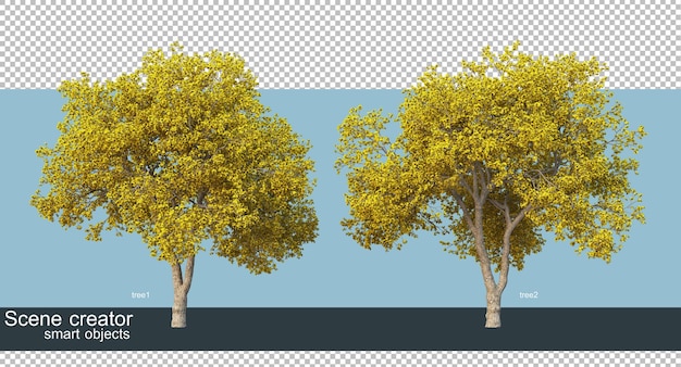 3D rendering of beautiful trees in various angles isolated