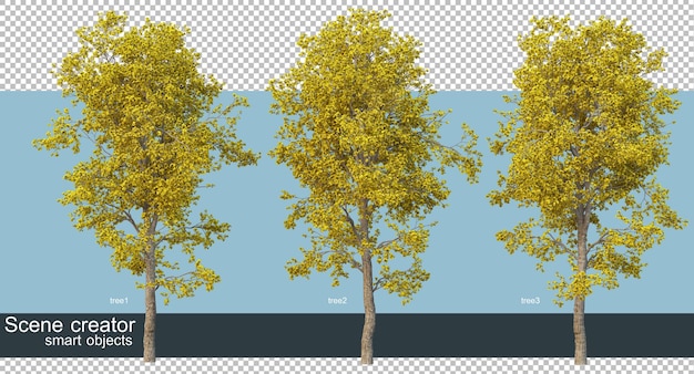 3D rendering of beautiful trees in various angles isolated