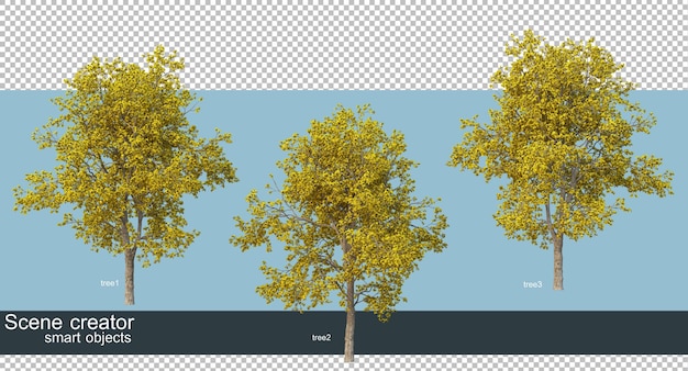 3D rendering of beautiful trees in various angles isolated