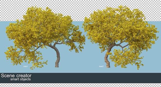 3D rendering of beautiful trees in various angles isolated