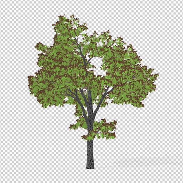 3d rendering of a big tree with green leaves and branches isolated on transparent background