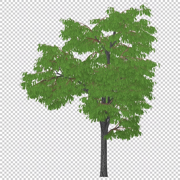 3d rendering of a big tree with green leaves and branches isolated on transparent background