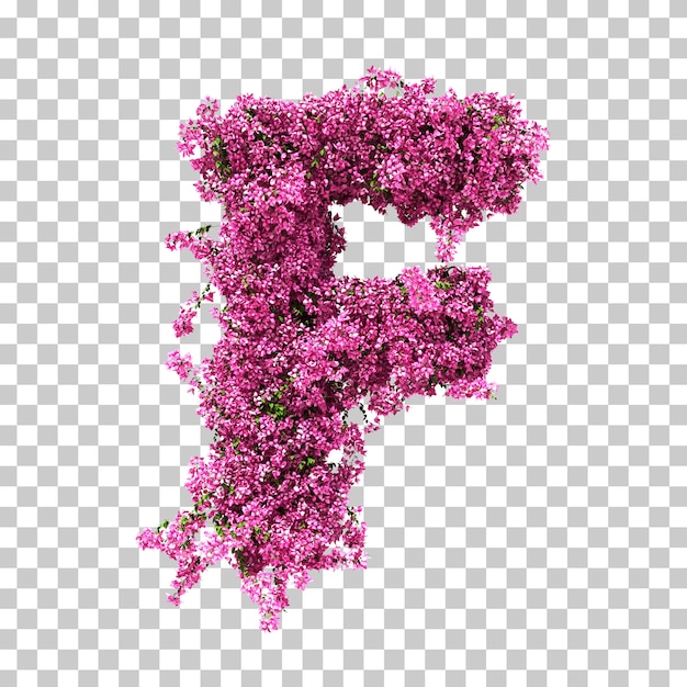 3d rendering of Bougainvillea letter F