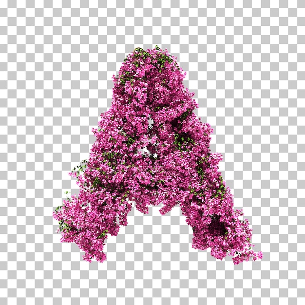 3d rendering of Bougainvillea letter A