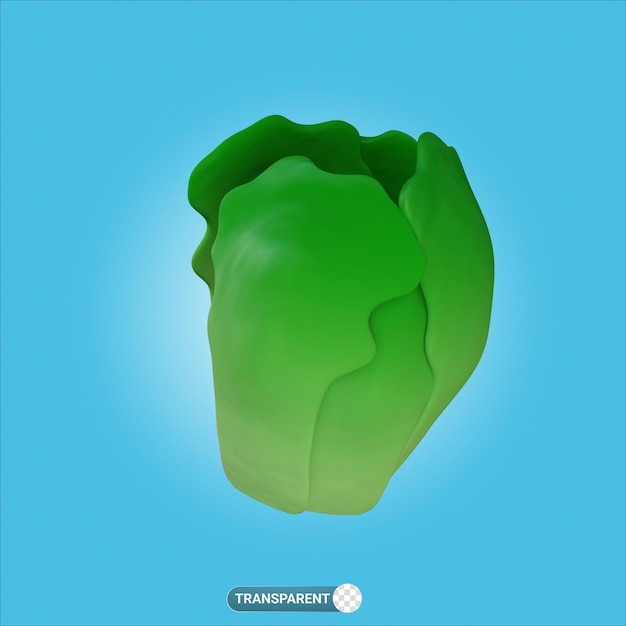 3d rendering chinese cabbage fresh vegetable