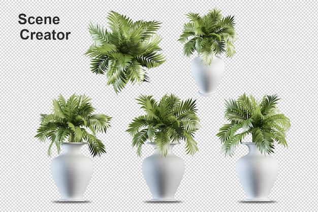 3d rendering of decorative tree arrangement