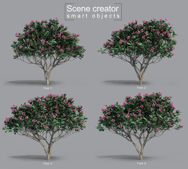 3d rendering of Frangipani tree scene creator