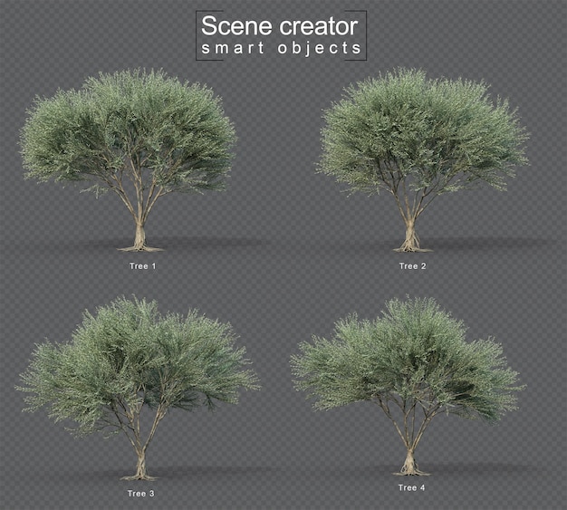 3d rendering of fruitless olive tree set