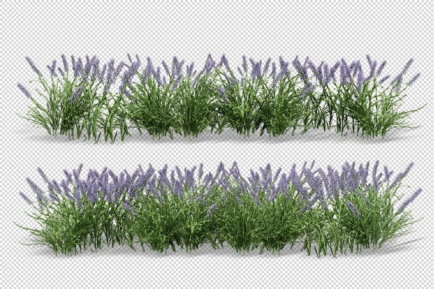 3d rendering of grass and shrub arrangements