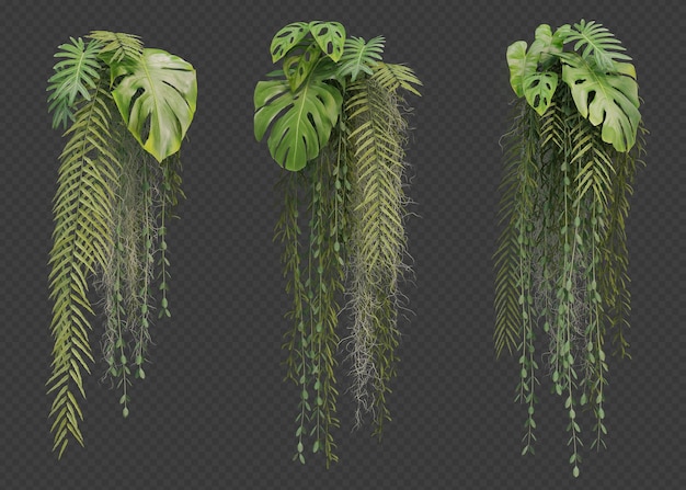 3d rendering of hanging plant collection