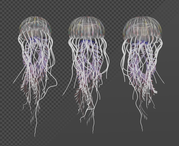 3d rendering jellyfish sea animal jellies gelatinous perspective view