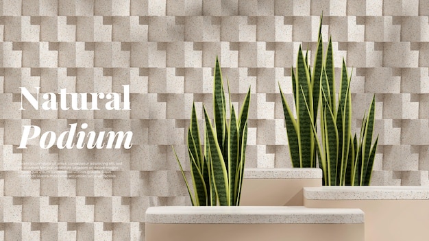 3d rendering mockup template of podium terrazzo texture block in landscape with snake plant