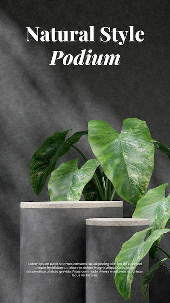 3d rendering mockup template of terrazzo and concrete podium in portrait with alocasia leaf