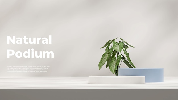 3d rendering mockup template with blue and white podium in landscape with syngonium plant and shadow