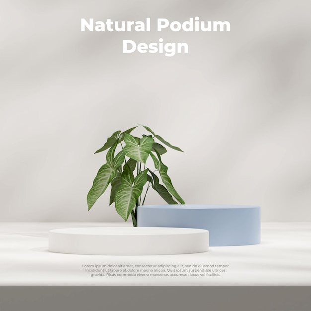 3d rendering mockup template with blue and white podium in square with syngonium plant and shadow