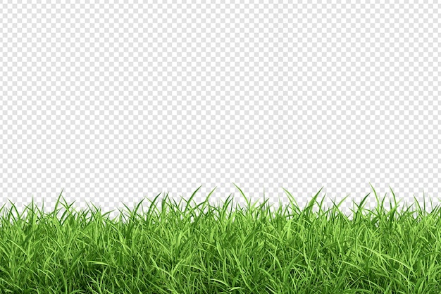 3d rendering of nature scenery rendering