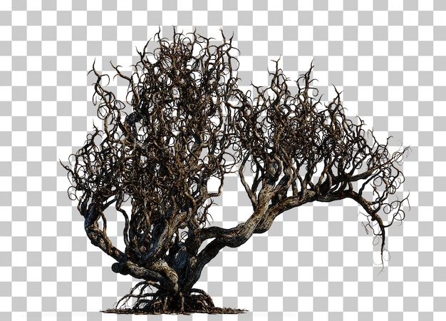 3d rendering of scary death tree