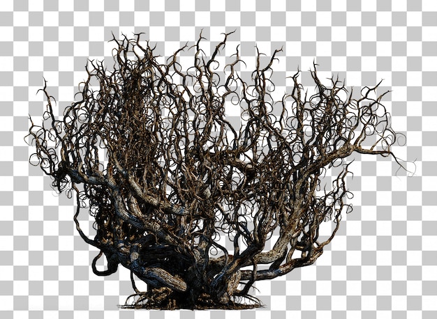 3d rendering of scary death tree