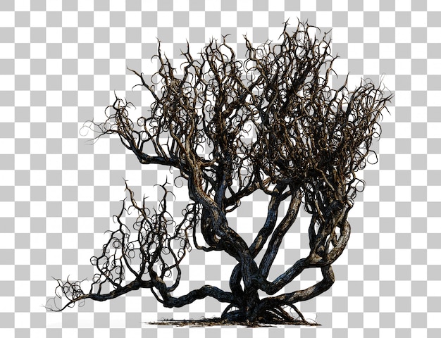 3d rendering of scary death tree