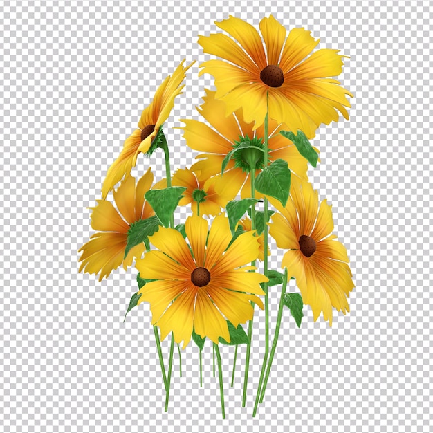 3d rendering of sunflowers collection isolated on transparent background. Top view.