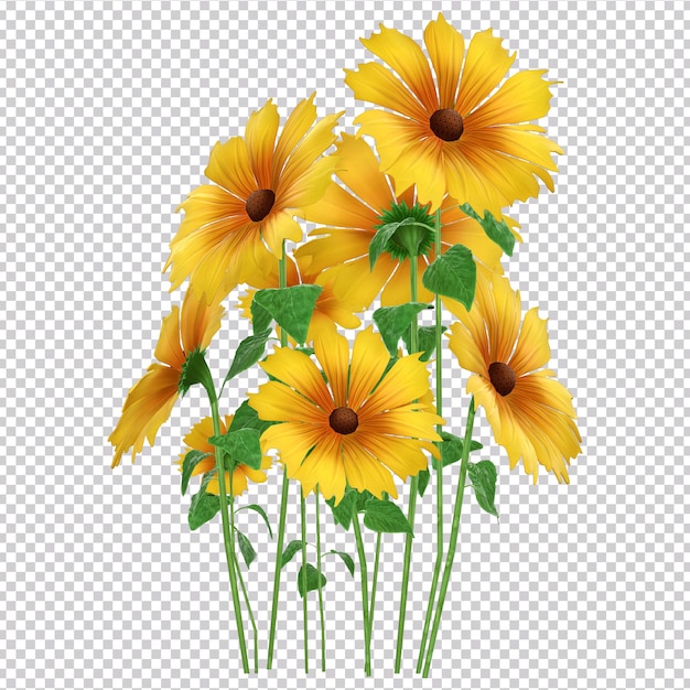 3d rendering of sunflowers collection isolated on transparent background.