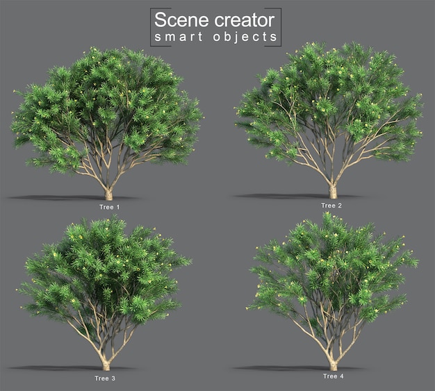 3d rendering of Thevetia peruviana tree scene creator