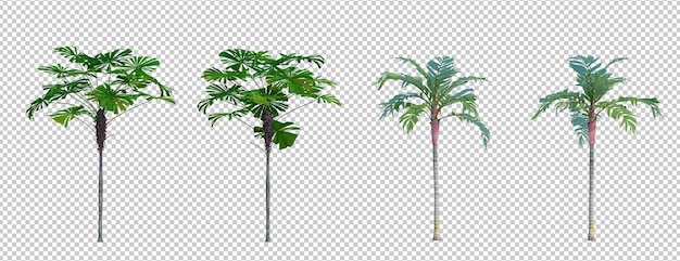 3d rendering tree isolated cut background