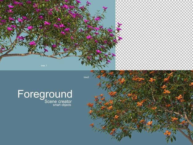 3D rendering of trees foregroung isolated