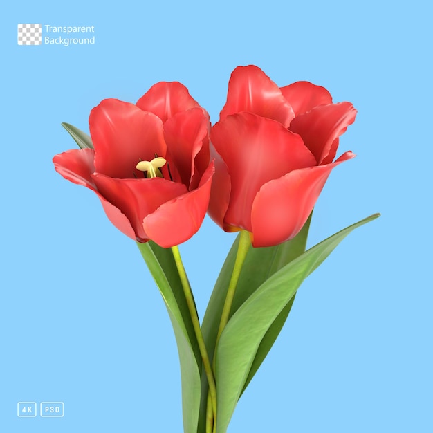 3D Rendering Tulip Flowers