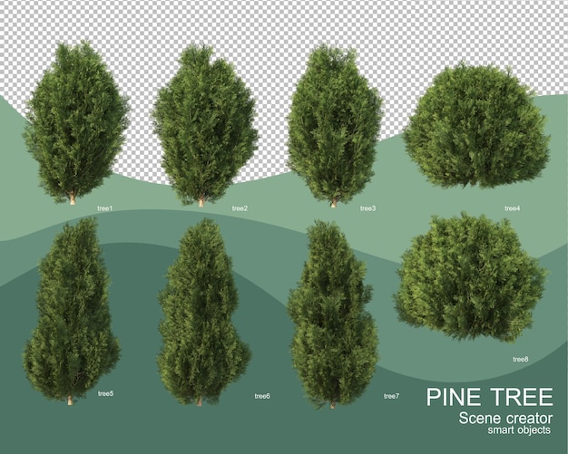 3D rendering of various pine arrangements