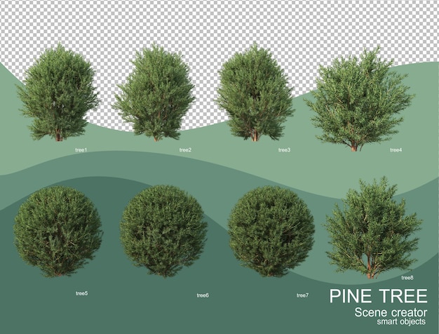 3D rendering of various pine arrangements