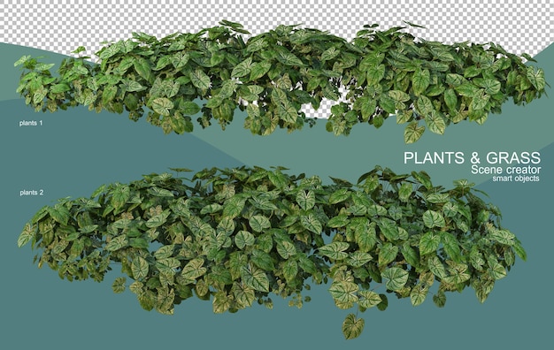 3D rendering of various plant arrangements