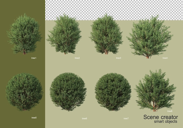 3D rendering of various tree designs