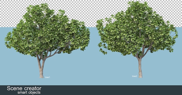 3D rendering of various tree shapes and types