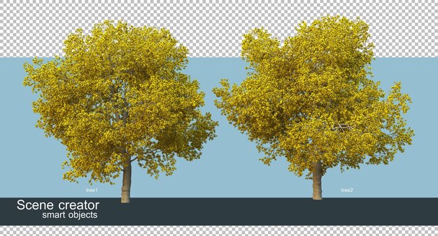 3D rendering of various tree shapes and types