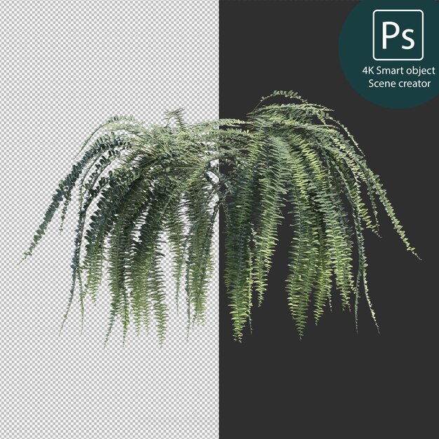 3d rendering various types of bush and hedges arrangements