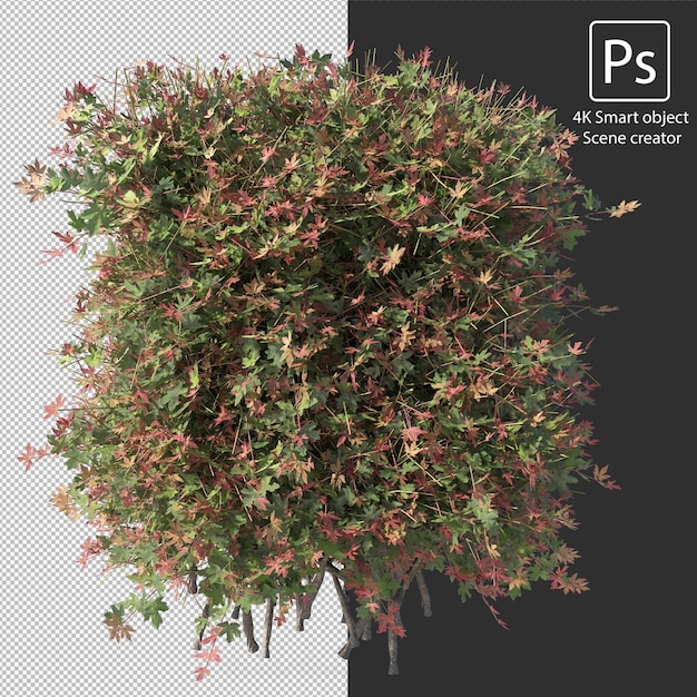 3d rendering various types of bush and hedges arrangements