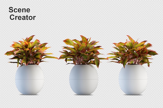 3d rendering of various types of ornamental arrangement