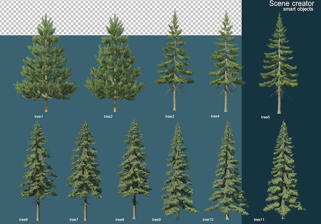 3D rendering of various types of pine trees