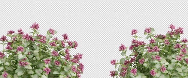 3d rendering of various types of shrubs of natural landscape