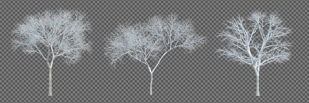 PSD 3d rendering winter tree isolated cut background