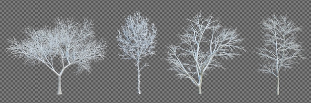 PSD 3d rendering winter tree isolated cut background