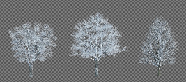 PSD 3d rendering winter tree isolated cut background