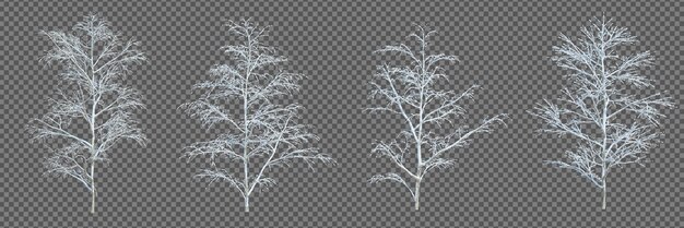 PSD 3d rendering winter tree isolated cut background