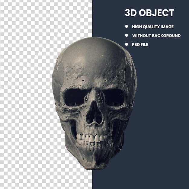 3D skull structure