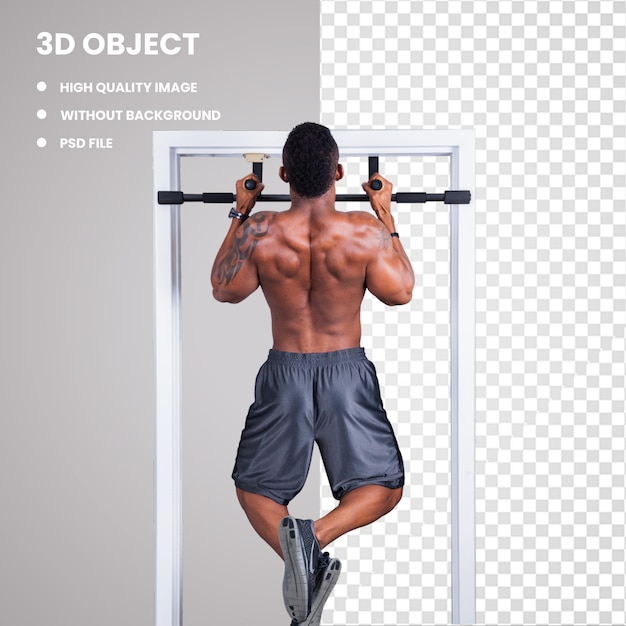 PSD 3d weight training fishpond limited pull up new zealand strength training amp pull up amp physical f