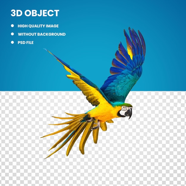 3d yellow and blue macaw