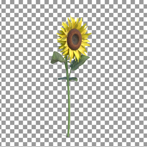 3D Yellow Flower on isolated and transparent background